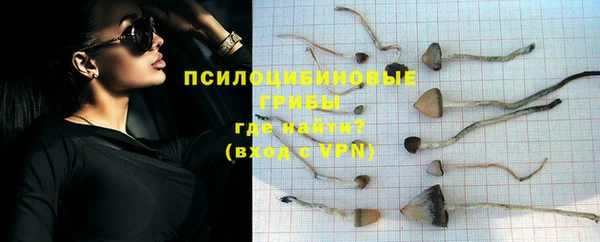 бутират Снежногорск