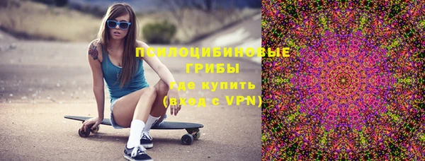 бутират Снежногорск
