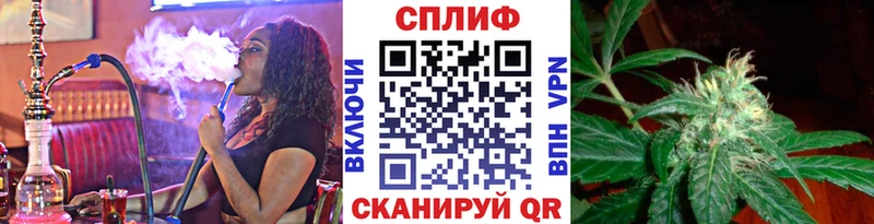 Марихуана OG Kush  блэк спрут ссылки  Могоча 